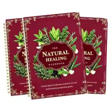 The Complete Plant-Based Eating Handbook – Health & Recipe Guide