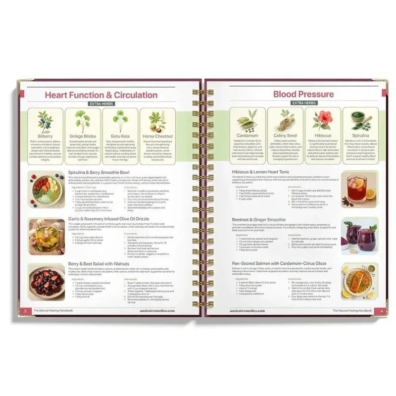 The Complete Plant-Based Eating Handbook – Health & Recipe Guide